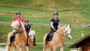 Thrilling Adventures: Exploring the World of Equestrian Sports