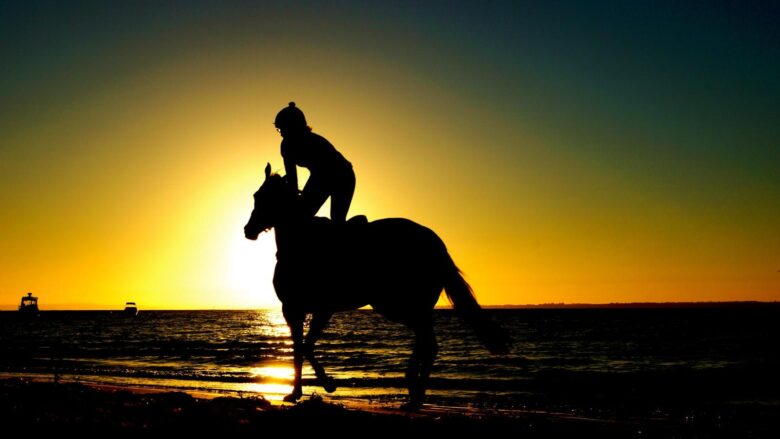 Understanding Horseback Riding Styles: A Guide