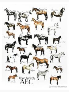 Exploring the Diversity of Horse Breeds